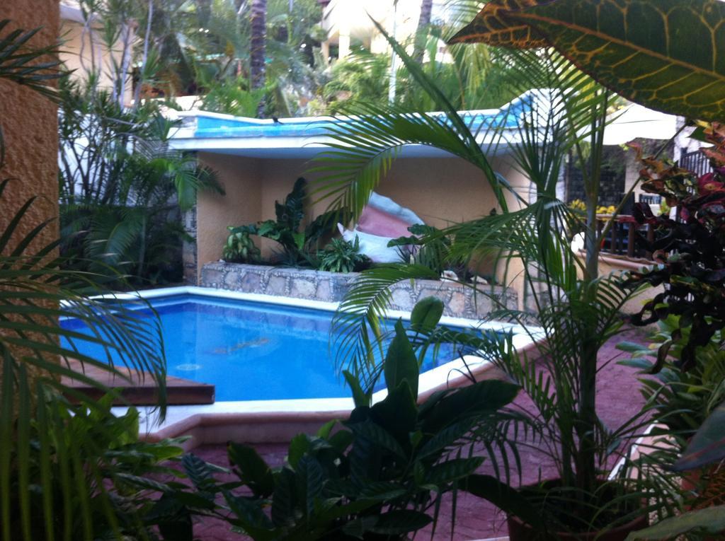 Vista Caribe Diving Resort Playa Del Carmen Zewnętrze zdjęcie